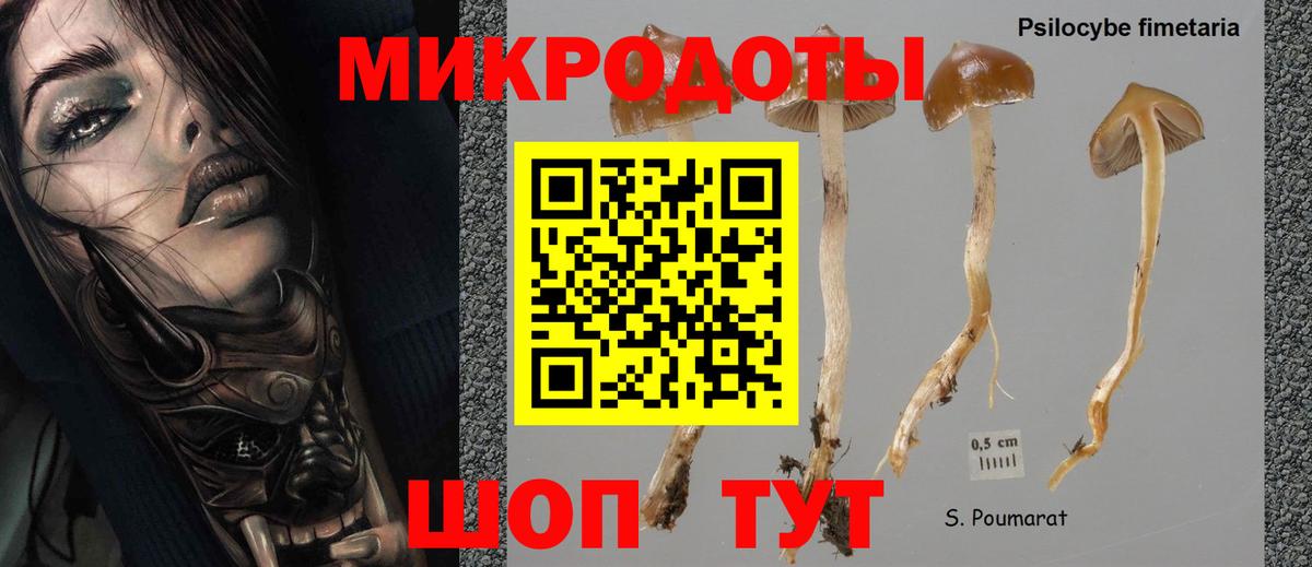 Псилоцибиновые грибы Psilocybine cubensis  Галлюциногенные грибы Cubensis  Омск  Вход с VPN 